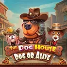 The Dog House – Dog or Alive thumbnail